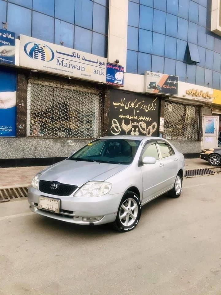 فروش-و-مالچه-0787469061