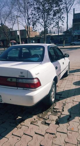 کرولایی کانادایی