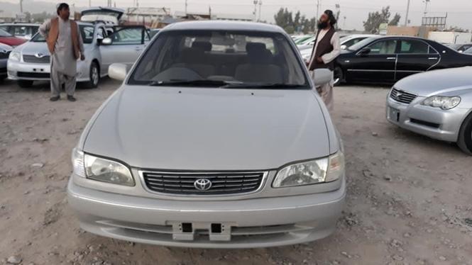 کورلا خوستی نوی روغه رنک فولادی ریمان لری ماډل199