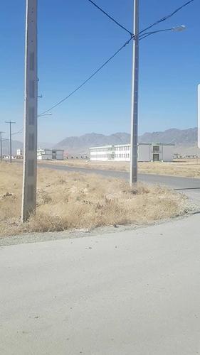 یو زرمتره نمره کارنل کمرشل ته دوهمه عینومینه کی ا