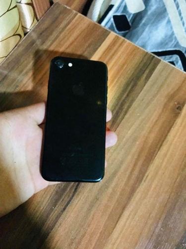فروش عاجل گلسشه جنج ديگر همه چيز اش جور است مالچه مي شود