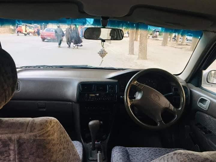 فروش-شیپ-خوستی