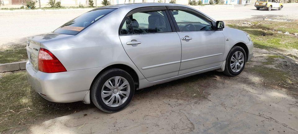 واتسیف-شمیره-0705551727