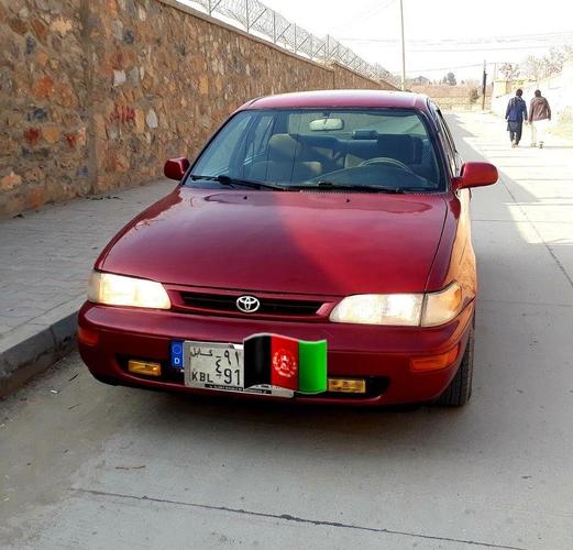 فروش کورلای کانادایی
