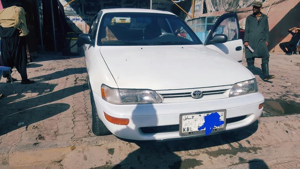 کرولایی-کانادایی
