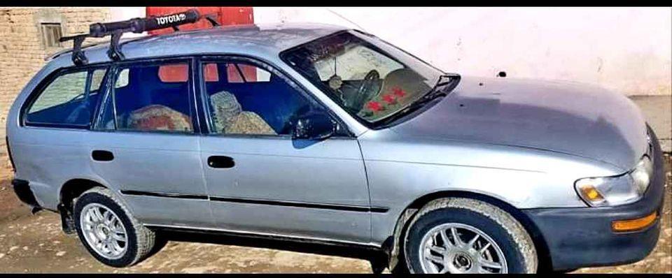 فروش-و-مالچه