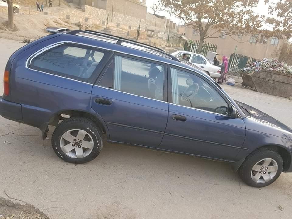 سراچه-جیتورنگ-چاپانی-0786960225
