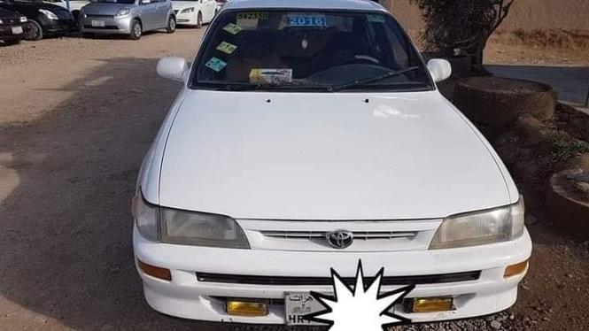 کرولا چاپانی