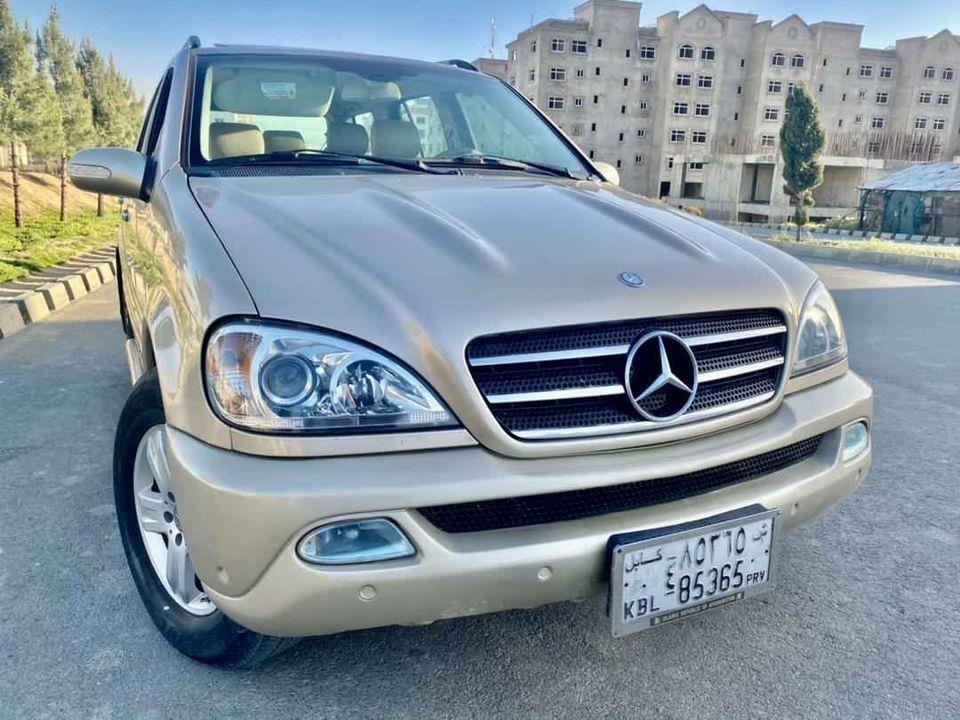 2005-فروش-و-مالچه