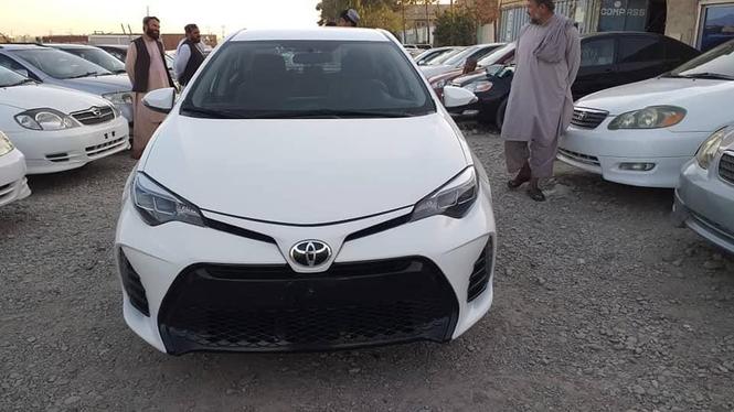 ټوډی کاناډایی