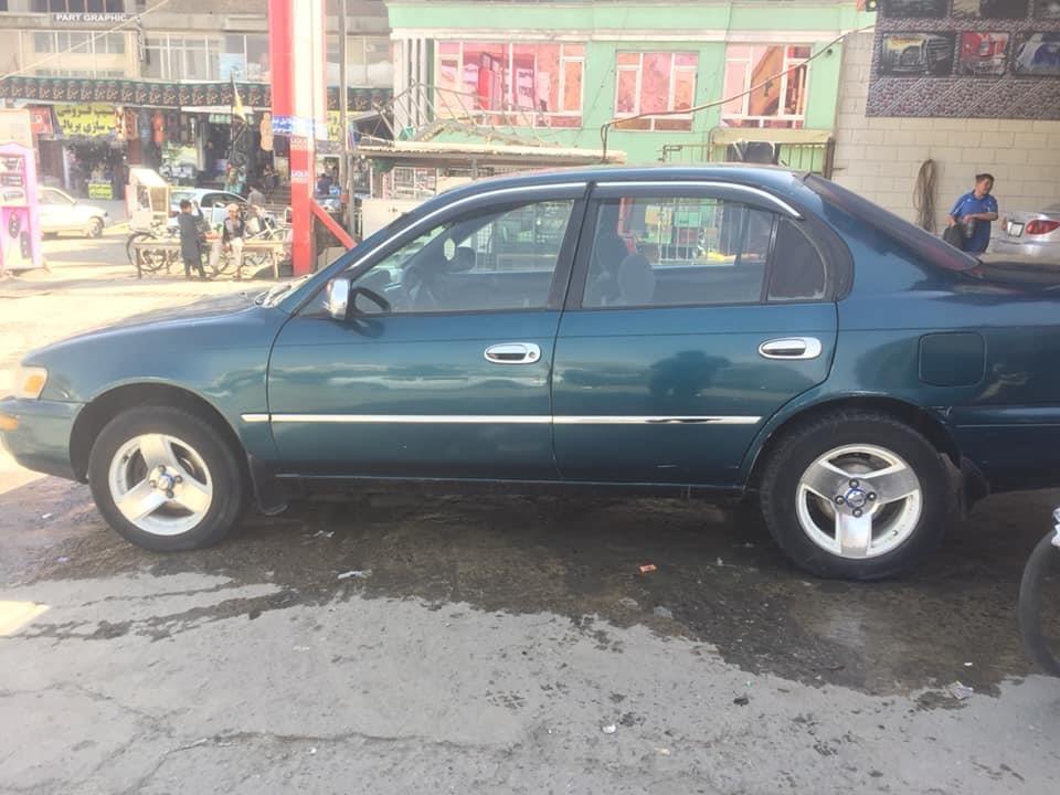 فروش-و-مالچه-0784059050