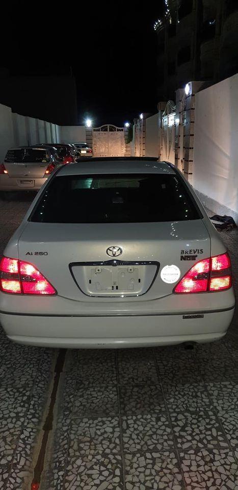 0703032538----0794310304