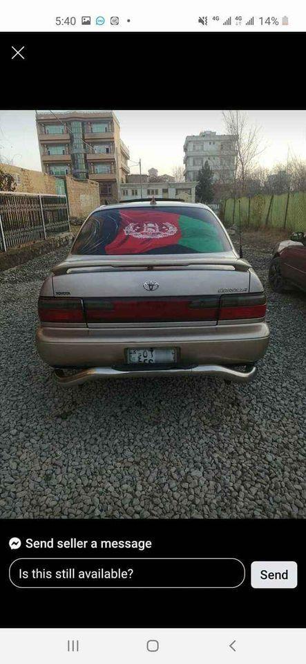 -کرولای-کانادایی-