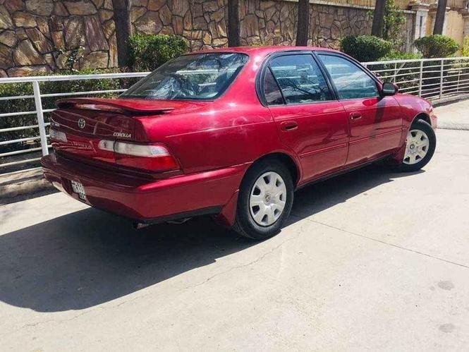 Toyota corola