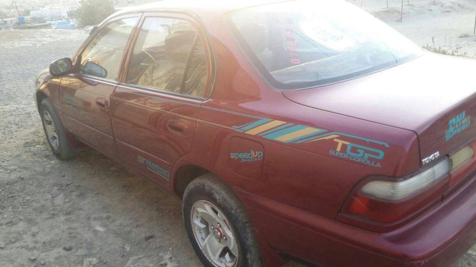 کرولا-کانادای