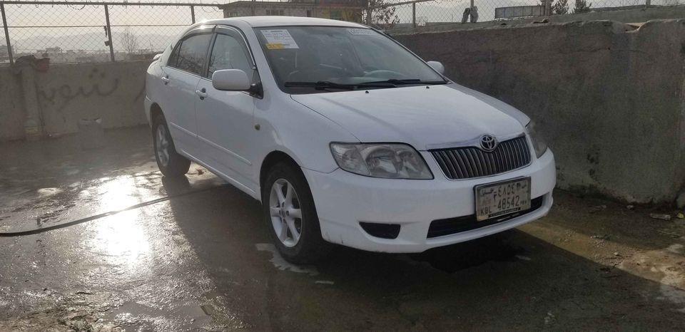 فروش-و-مالچه-0787469061