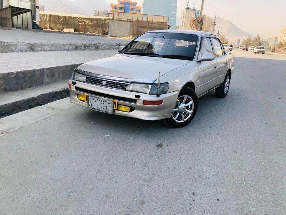 فروش-و-مالچه-0784059050