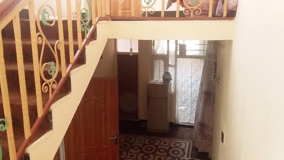 دارلامان