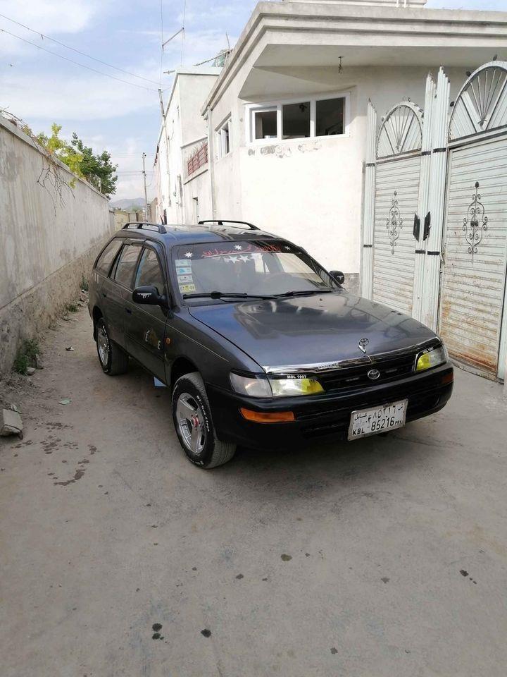 0786515958فروش-و-مالچه