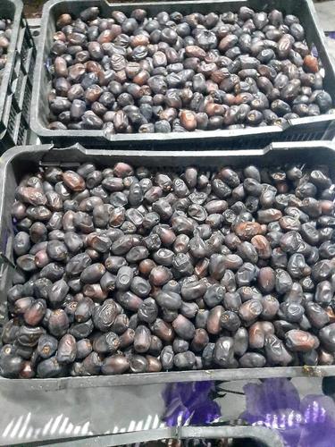 خرما مضافتی کلوته ربی