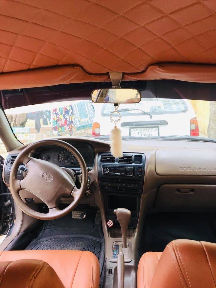 کورولای-کانادایی