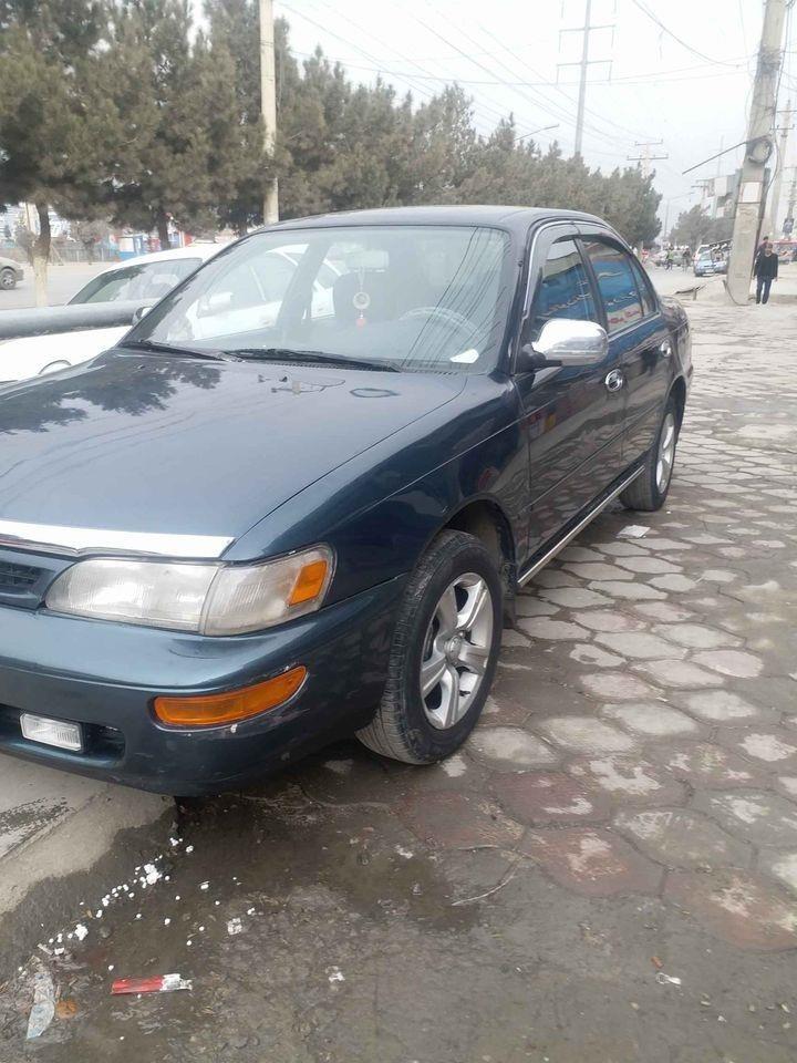 کرولای-کانادایی