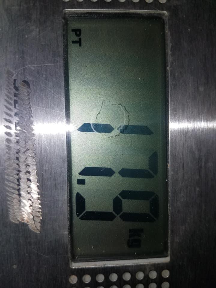 -----دځان-تللو-ترازو-