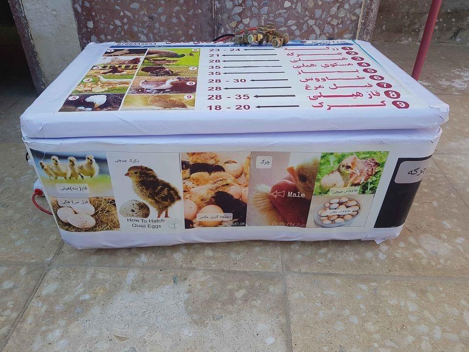 چوچه-ګیری-ماشین-0706545653