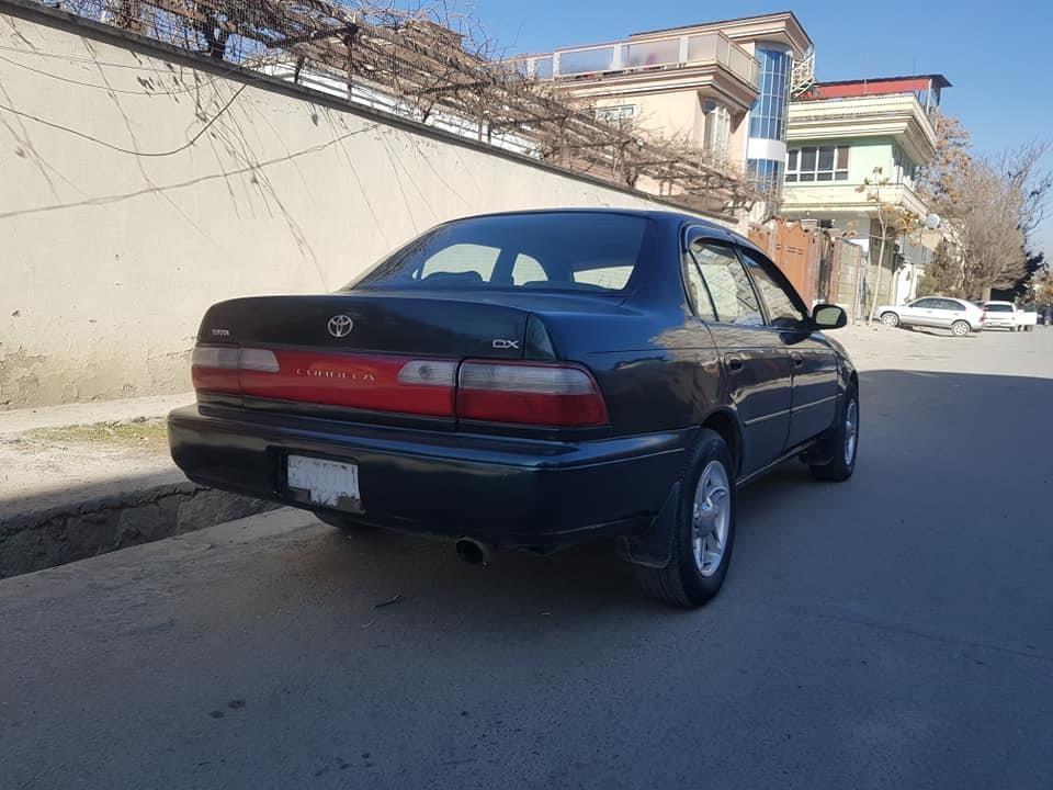 Corolla