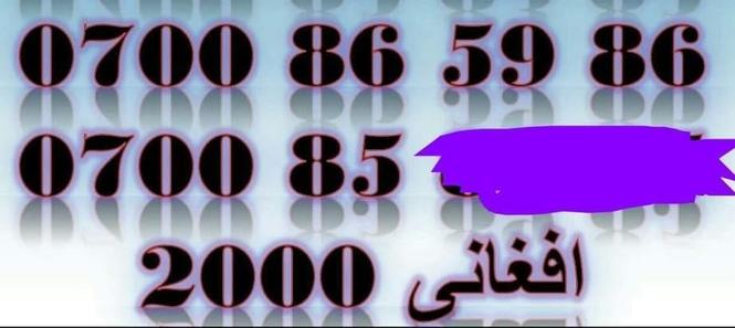 ‎‎دوی قطعی عکسونه او د تذکیری کافی ضرور دی.