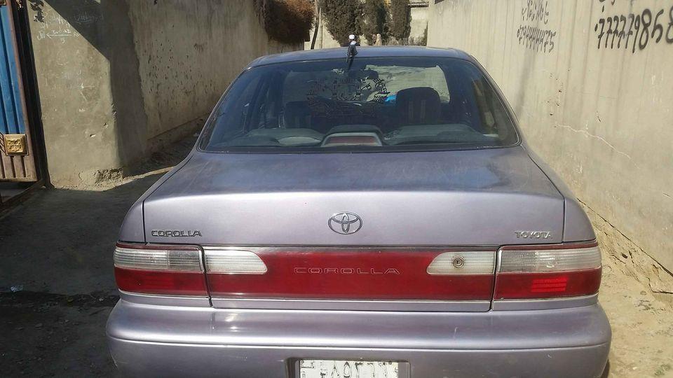 کرولای-کانادائی
