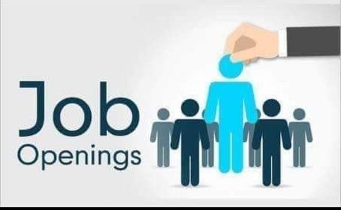 ضرورت کارمندان برای بست های کاملا جدید JOB