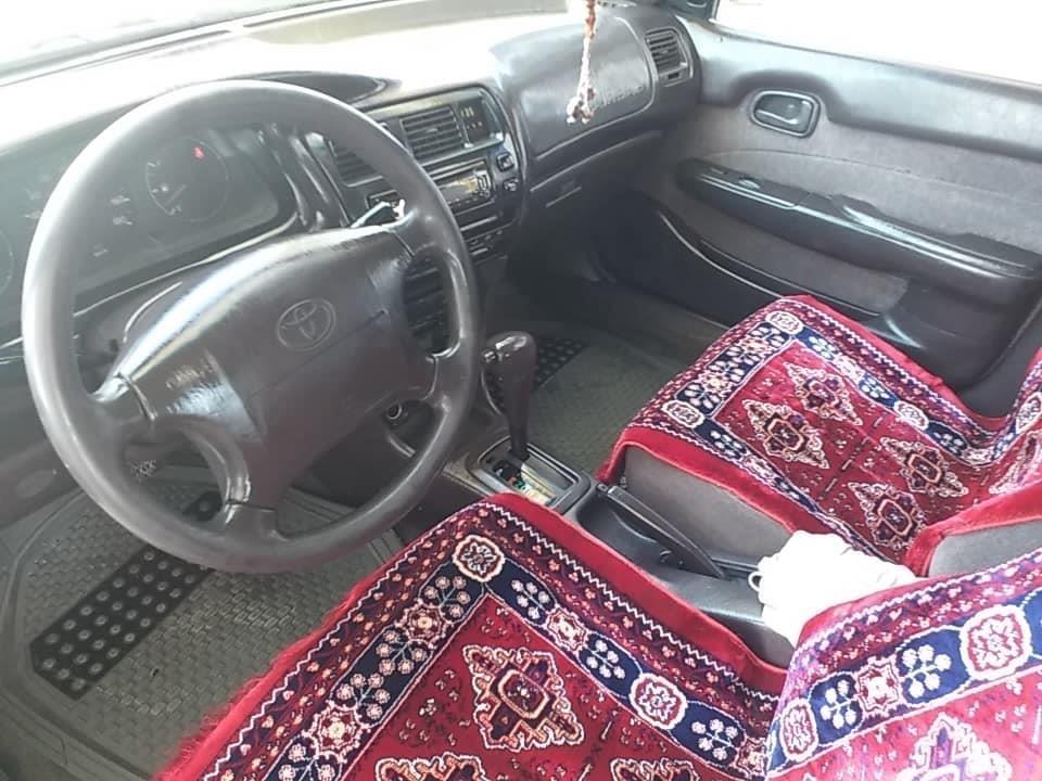 فروش-سراچه-کانادایی