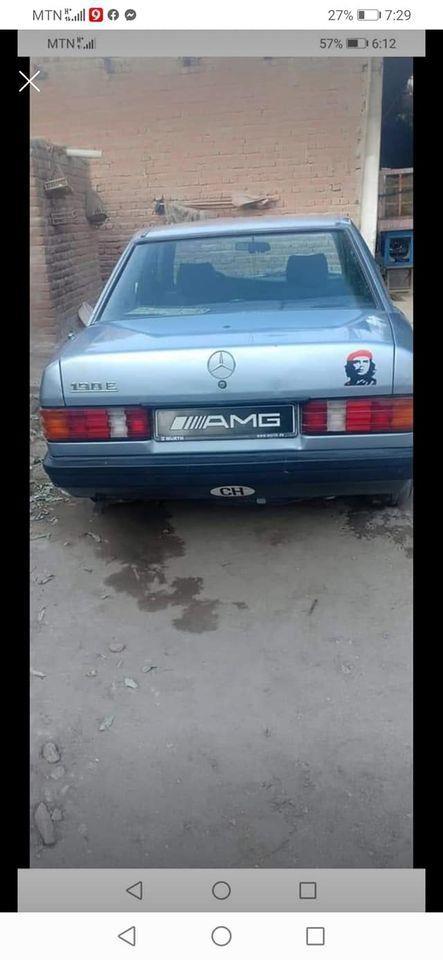فروش-و-مالچه