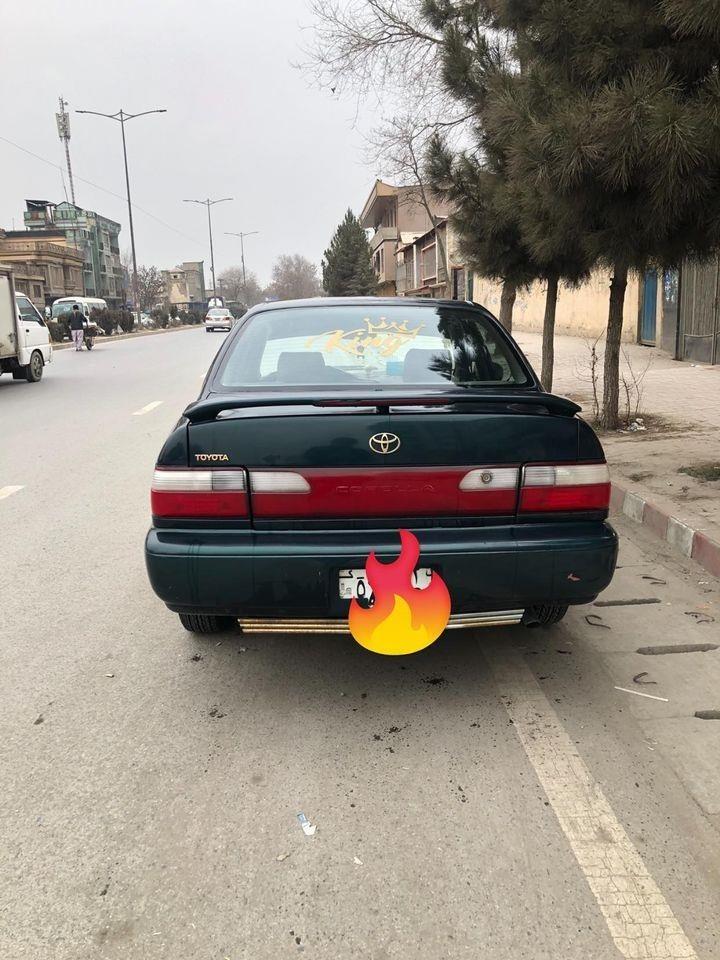 کرولا-کانادایی