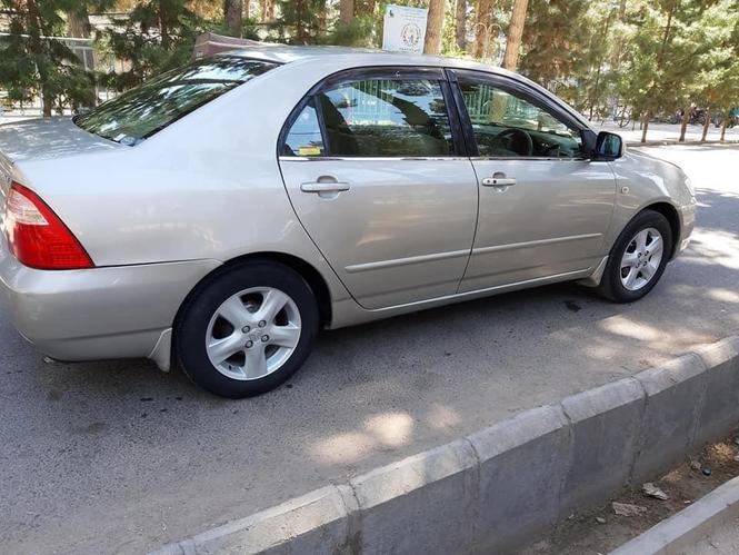 فروش عاجل لوکسل ۲۰۰۵
