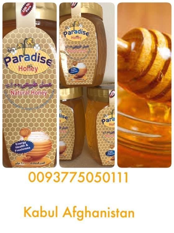 100--pure--0093775050111-