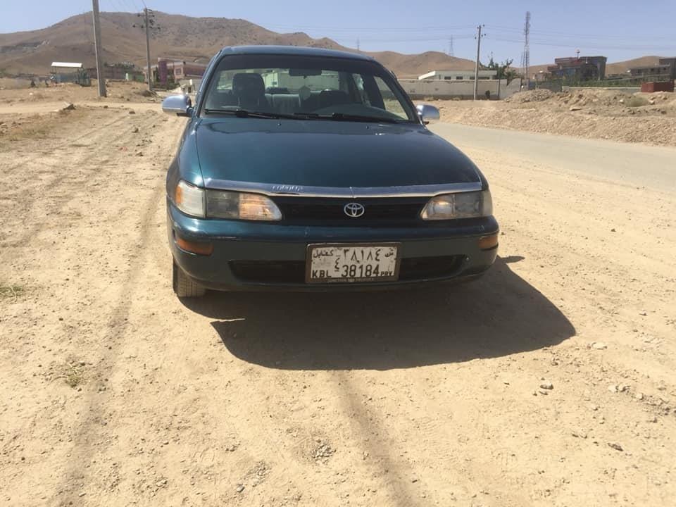 فروش-و-مالچه-0784059050
