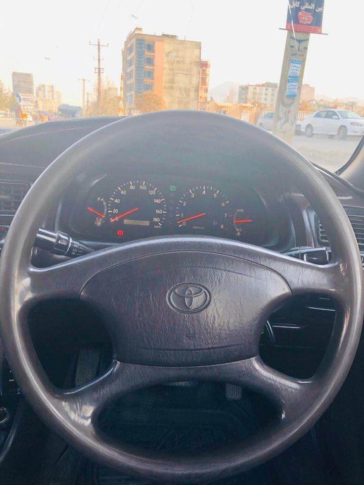 فروش-و-مالچه-0784059050