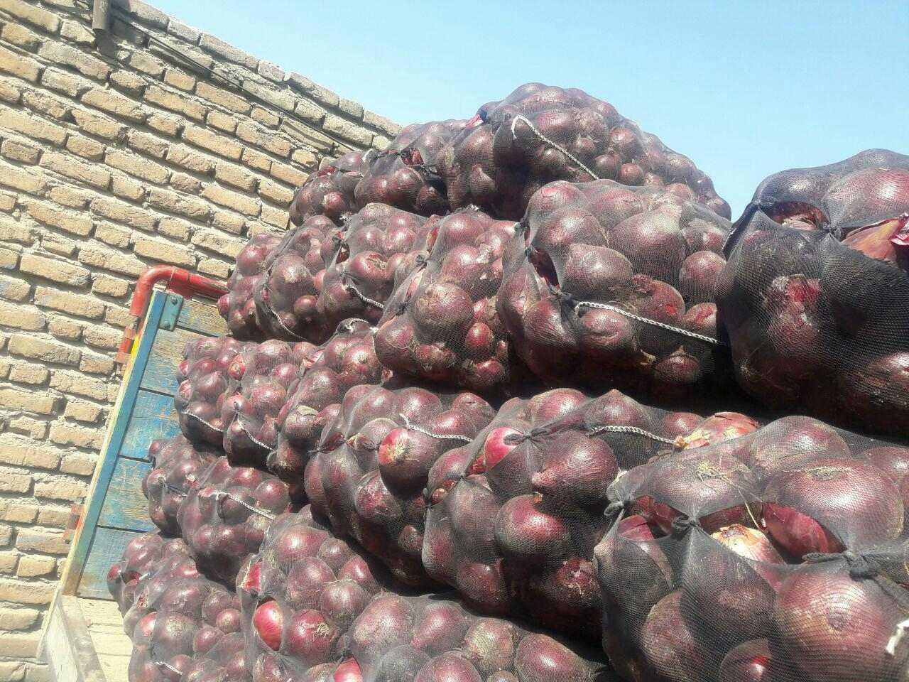 فروش-عمده-انواع-پیاز-و-سیر