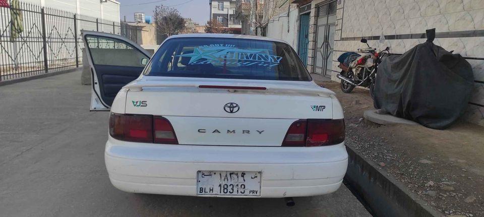 فروش-و-مالچه