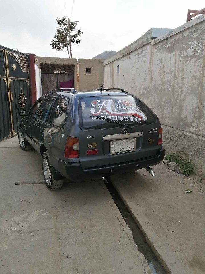 0786515958فروش-و-مالچه