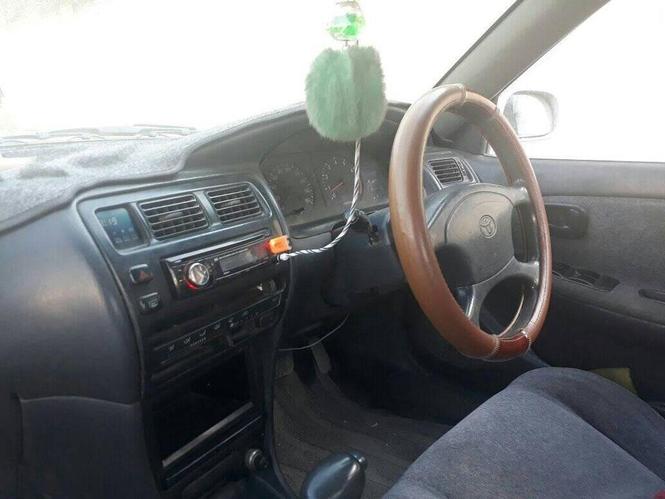 دست پاکستان