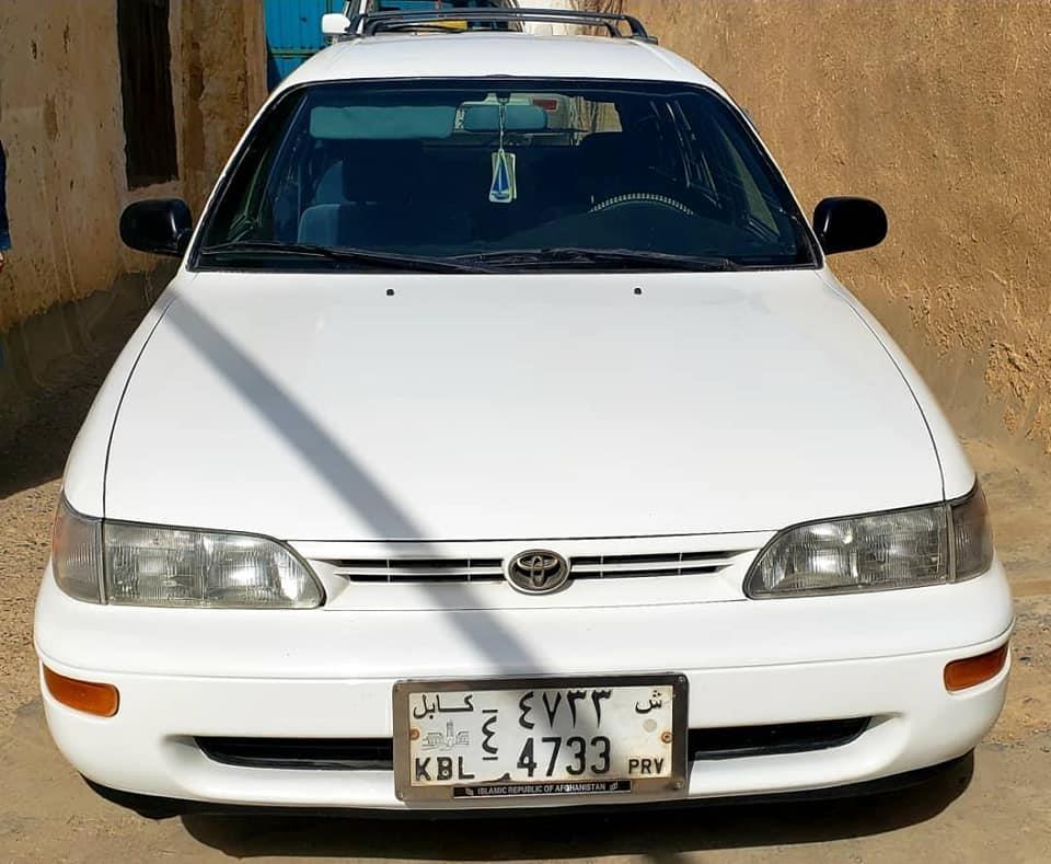 کاناډایی-سراچه
