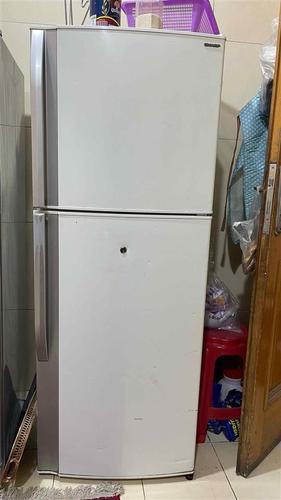 Sharp Fridge