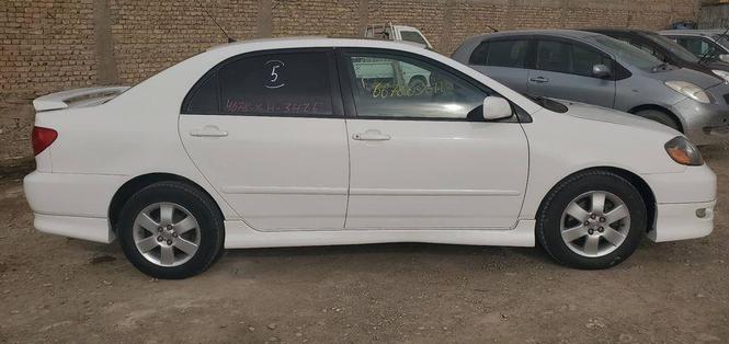 Corolla
