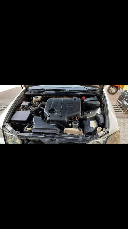 و-لایت-هرات