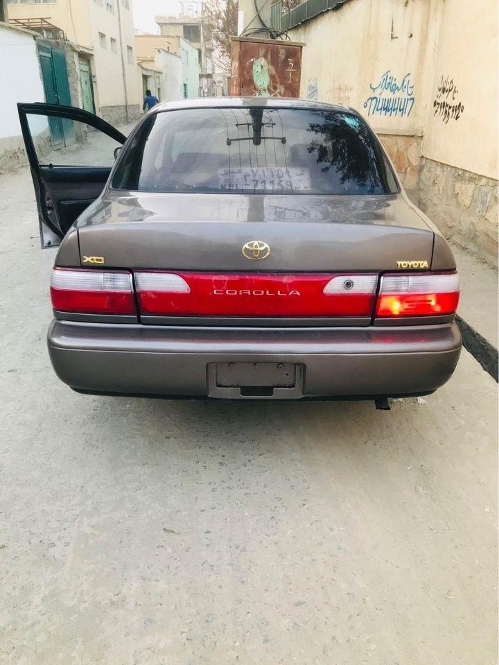 0731333101