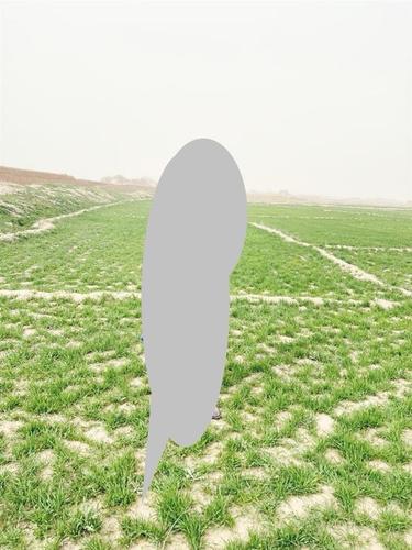 زمین فروشی