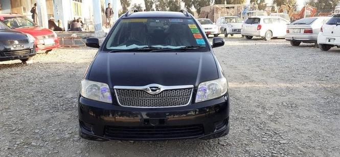 فلډر دويش کاټ